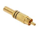 RCA GOLD PRETO